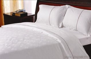 保定酒店一次性用品批發(fā)指南 廠家、價(jià)格、圖片與采購要點(diǎn)